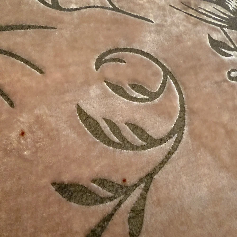 Vintage Pier 1 Imports 100% Silk & Burnout Velvet Pillow
